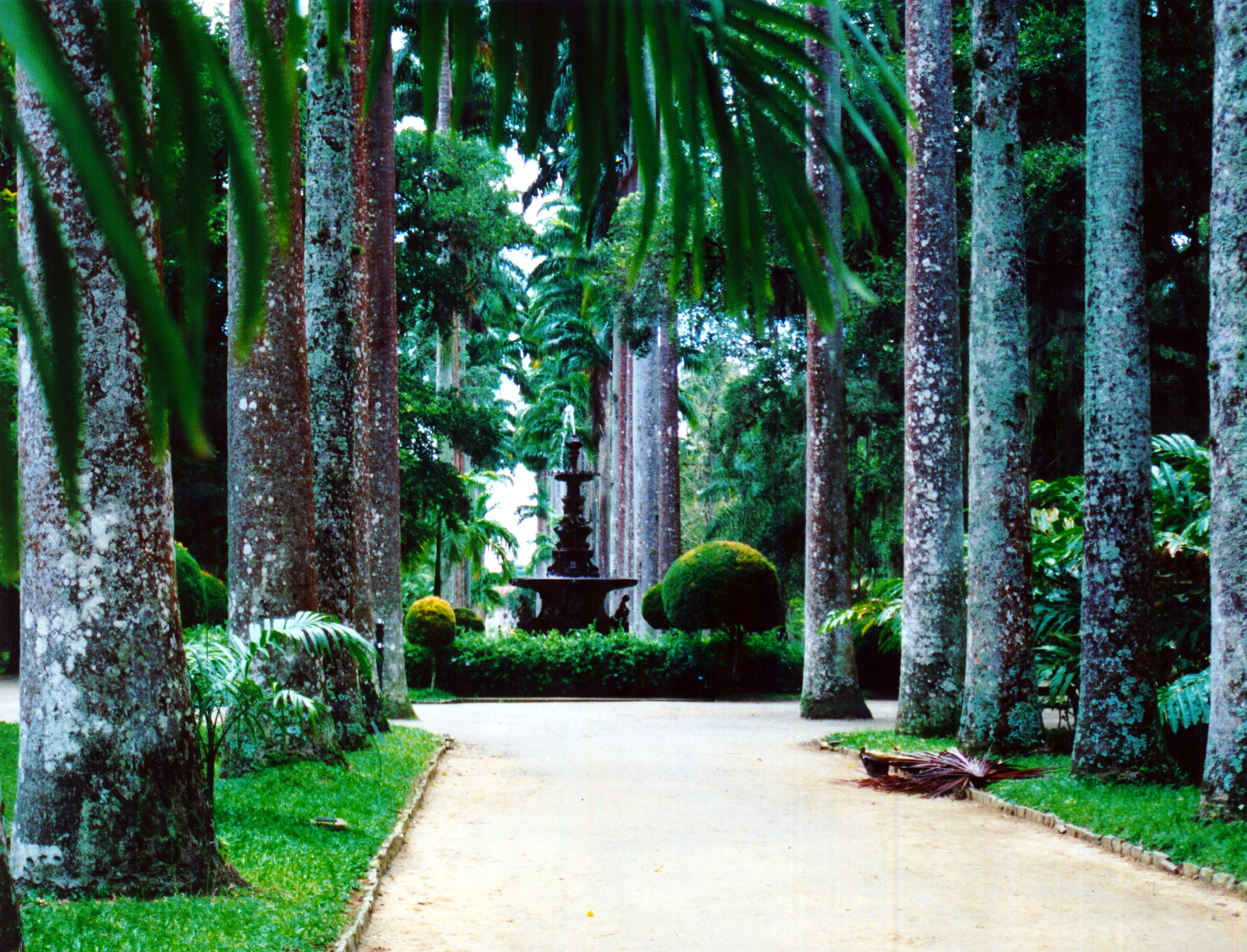 jardim-botanico