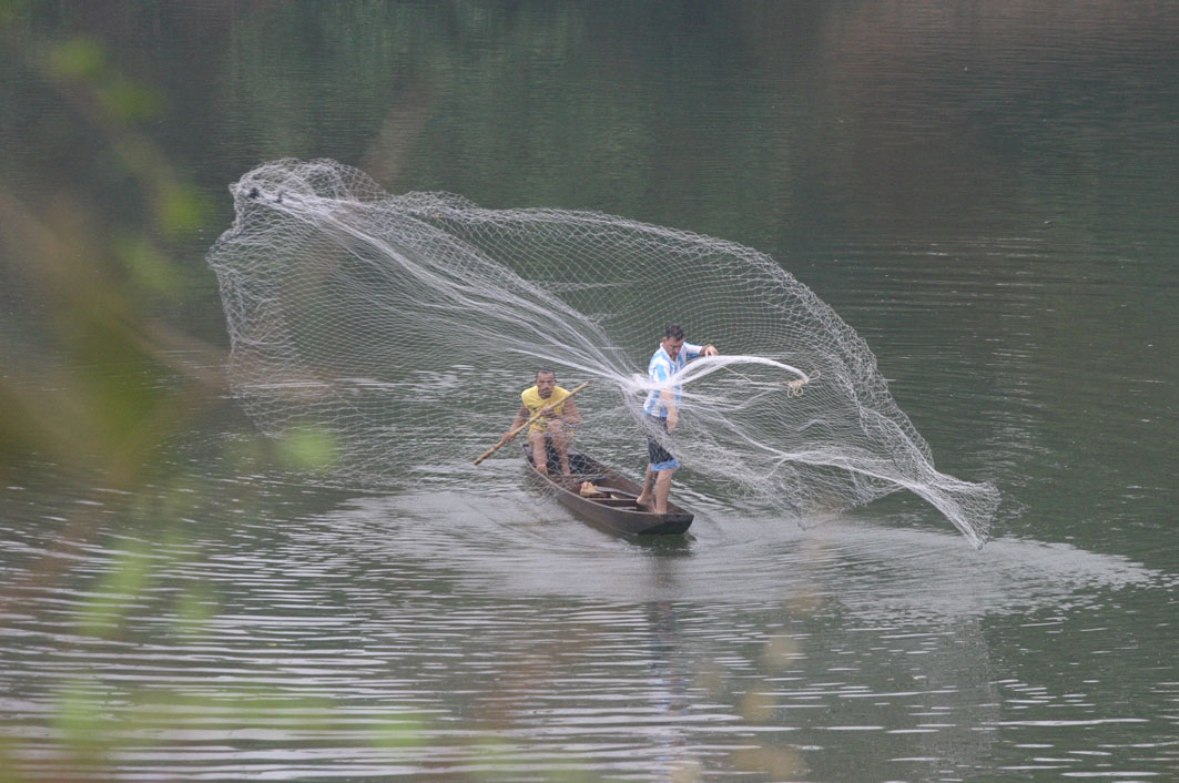 pesca_predatoria_no_brasil