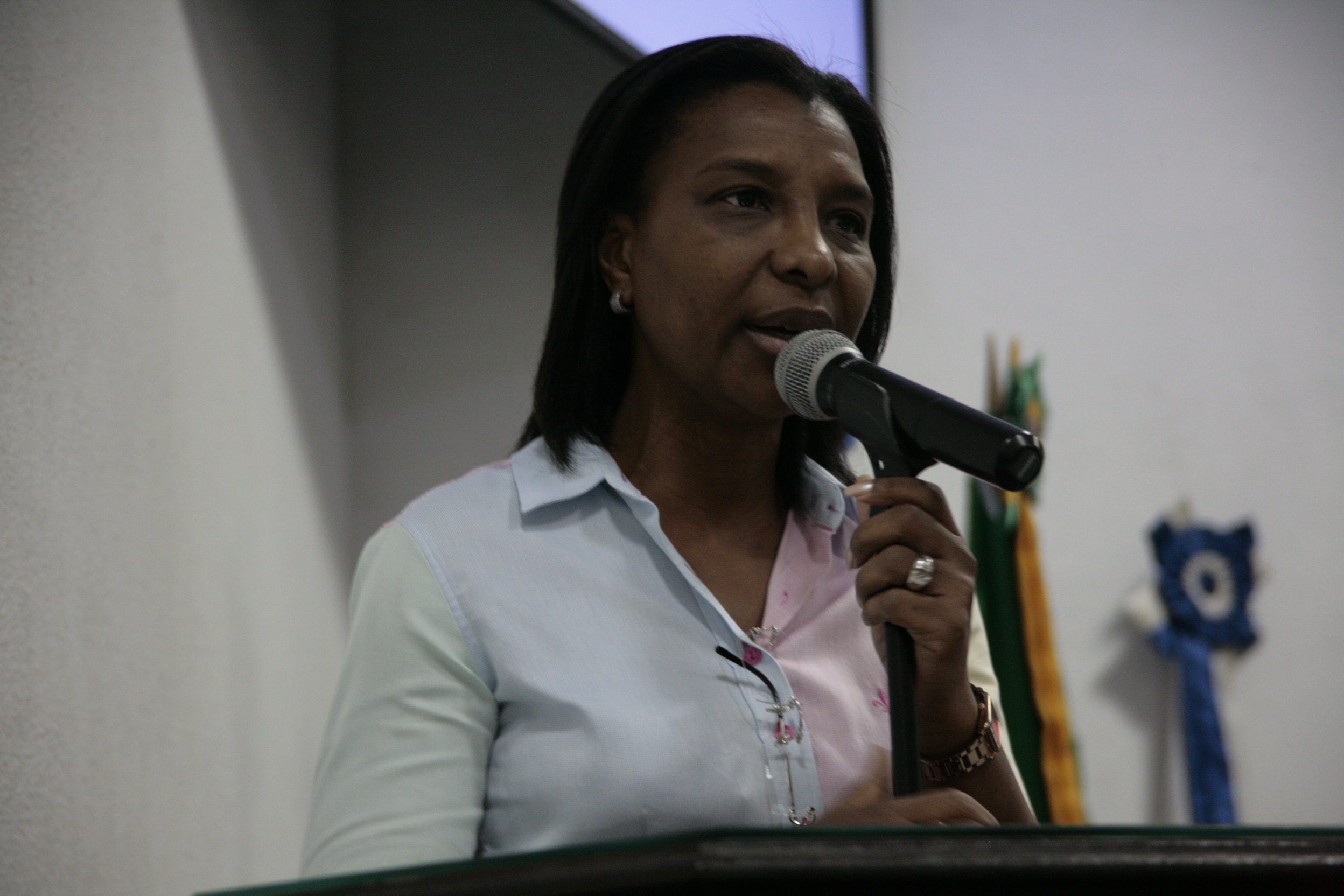 deputada rosangela gomes audiência publica NI (1)