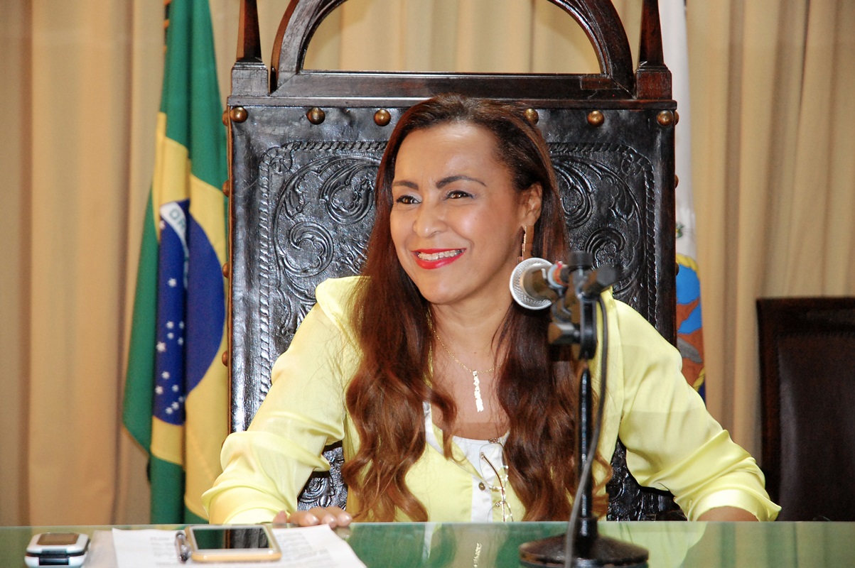 08-04-2015 comissão criança, idoso e adolecente (5)